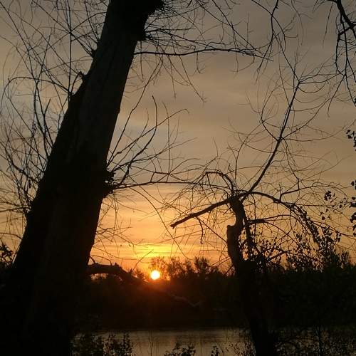 Photo #6803354