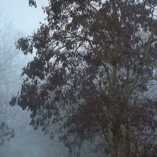 Photo #6803397