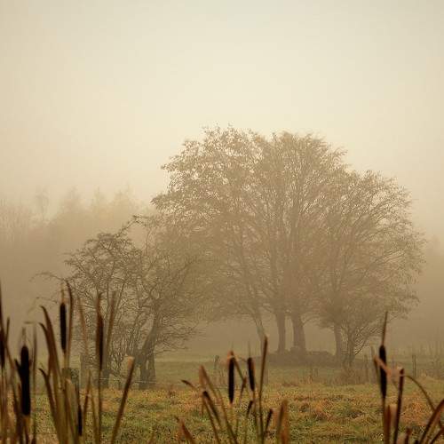 Photo #6803473