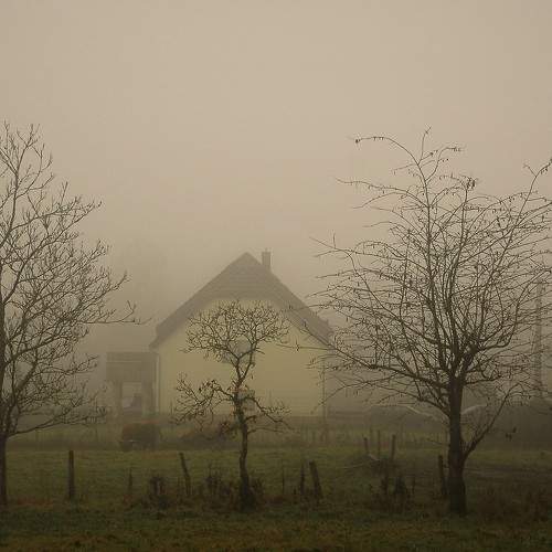Photo #6803477