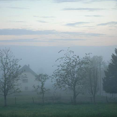 Photo #6803487