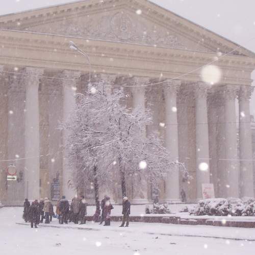 Photo #6803866