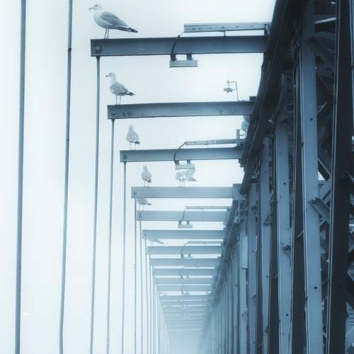 Photo #6804550