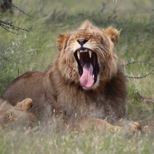 Photo #6804864
