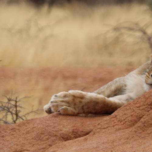 Photo #6804929