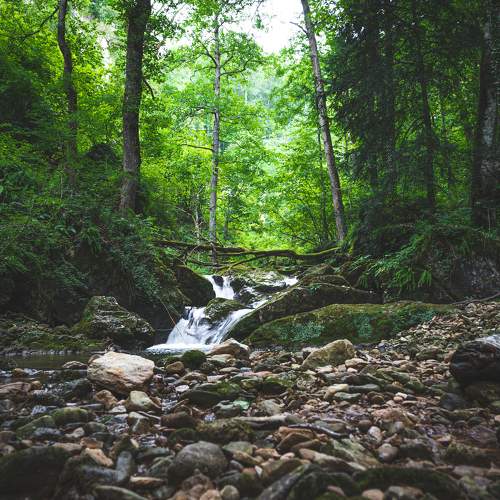 Photo #6805296