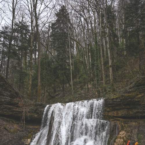 Photo #6805396