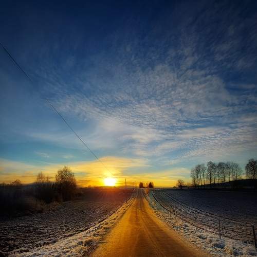 Photo #6805970