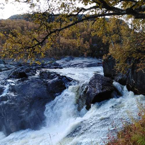 Photo #6806261