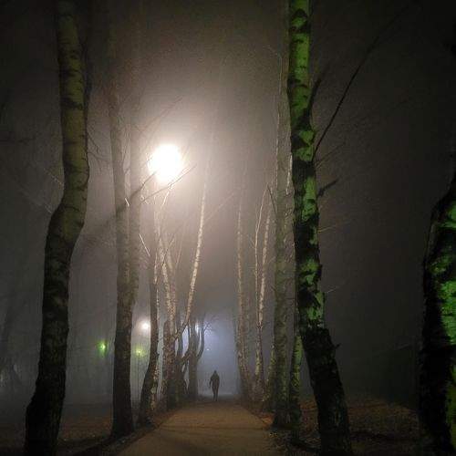 Photo #6806400