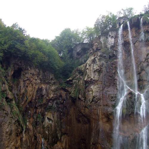 Photo #6806574