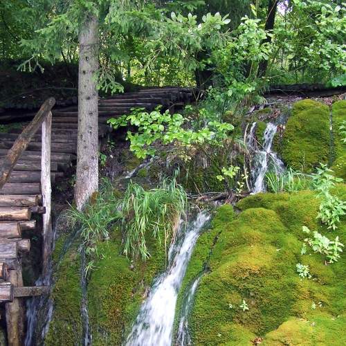 Photo #6806575