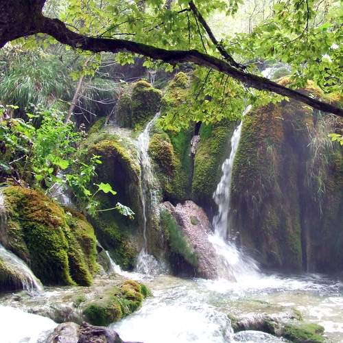 Photo #6806576