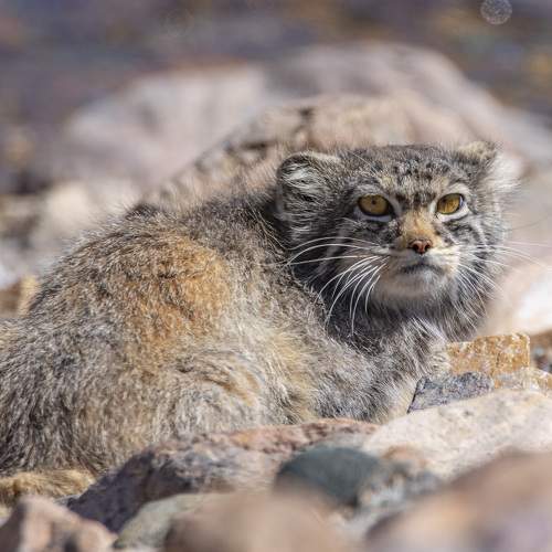 Photo #6806694