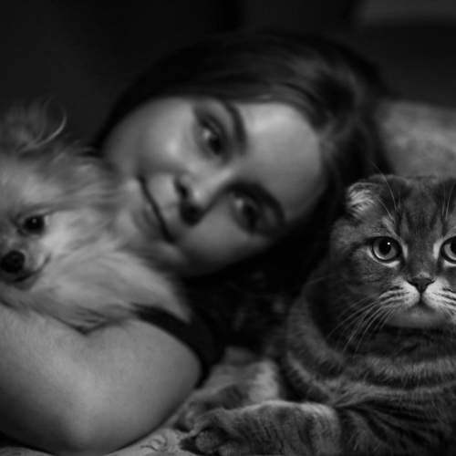 Photo #6807464