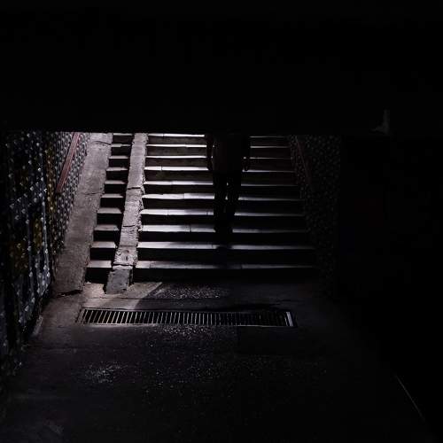 Photo #6807517