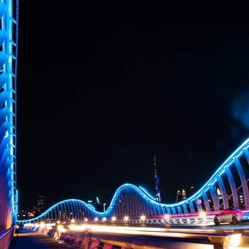 The Meydan Bridge