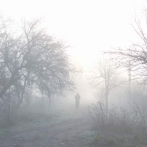 Photo #6807831