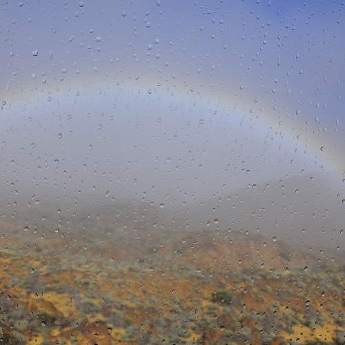 Photo #6807938