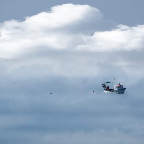 Photo #6808444