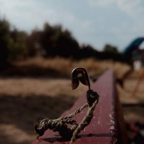 Photo #6808579