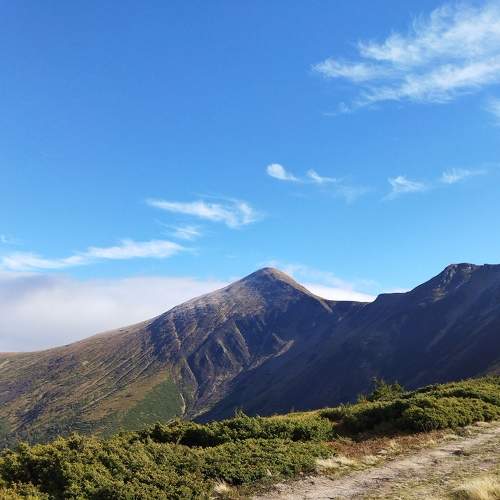 Photo #6808594