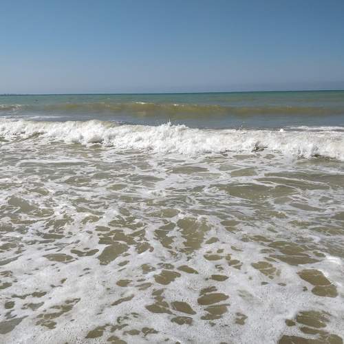 Photo #6808987
