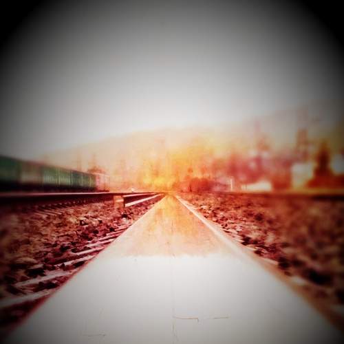 Photo #6809090