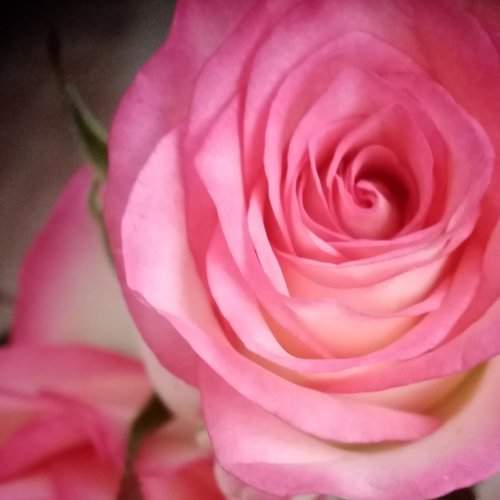 Фотография #6809130