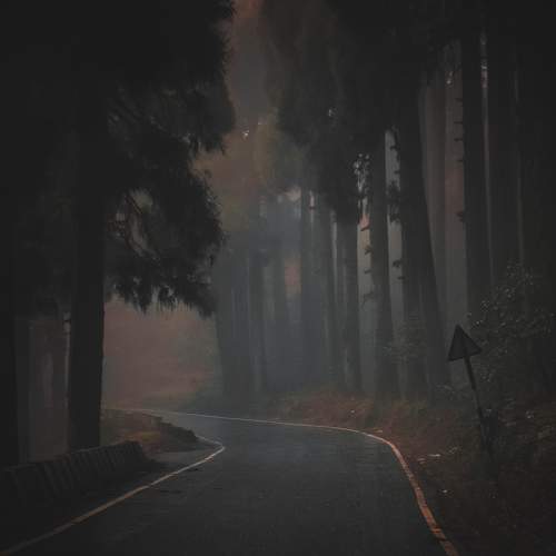 Photo #6809834
