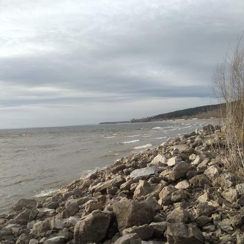 Photo #6810209