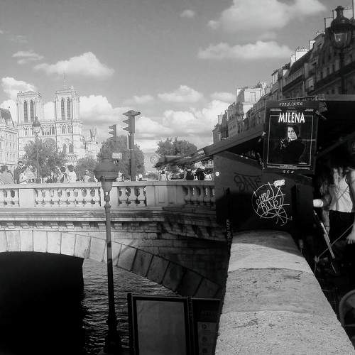 Notre dame de Paris