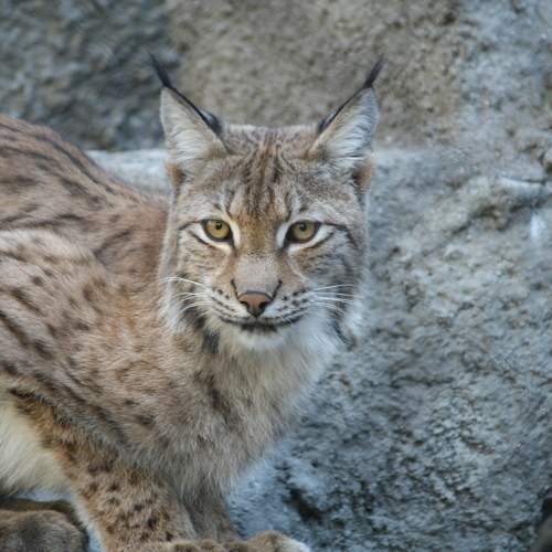 Photo #6810817