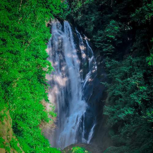 Photo #6811014
