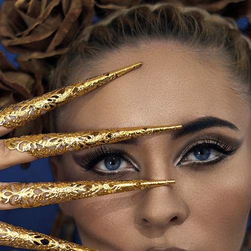 Photo #6811378