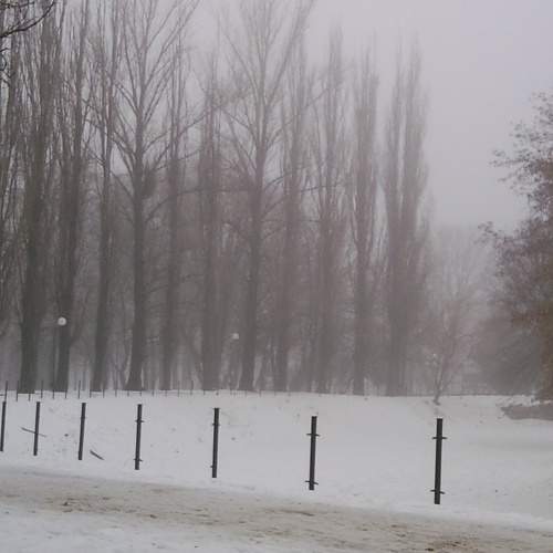 Photo #6811447