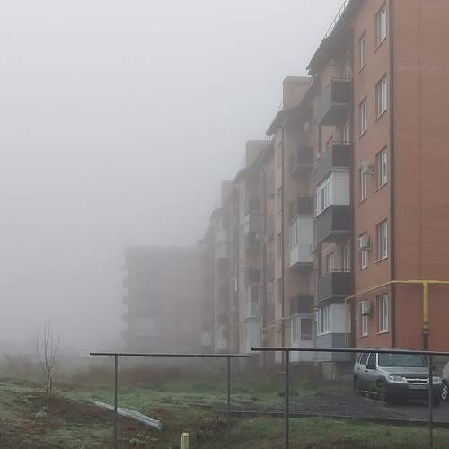 Photo #6811448