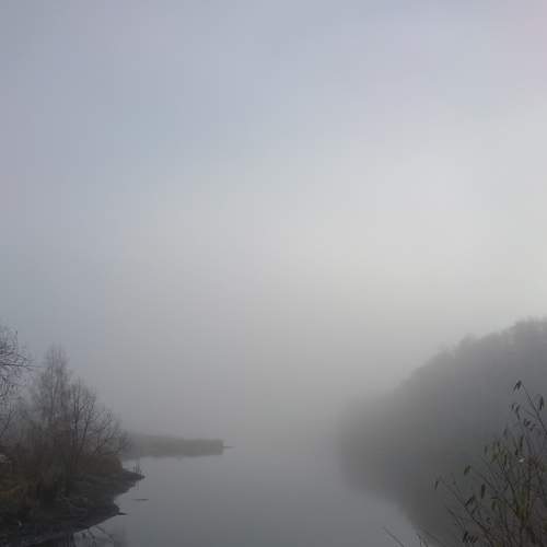 Photo #6811739