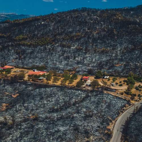 Photo #6811760