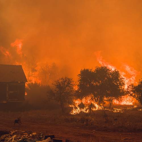 Photo #6811773
