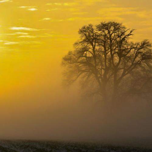 Photo #6811852