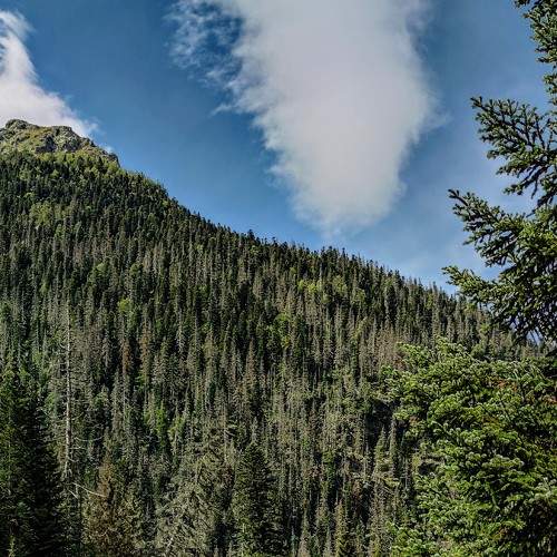Photo #6811911