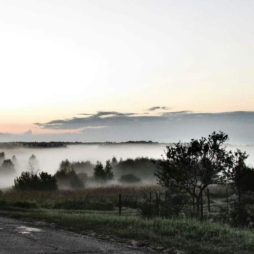 Photo #6812092