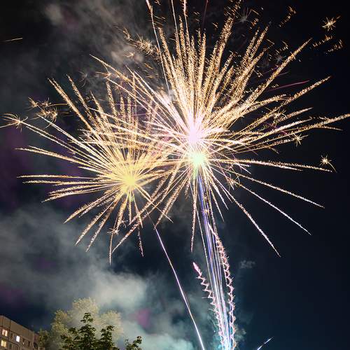 Photo #6812125