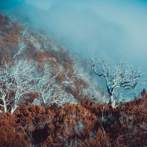 Photo #6812232
