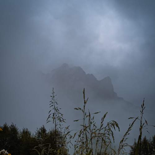 Photo #6812242