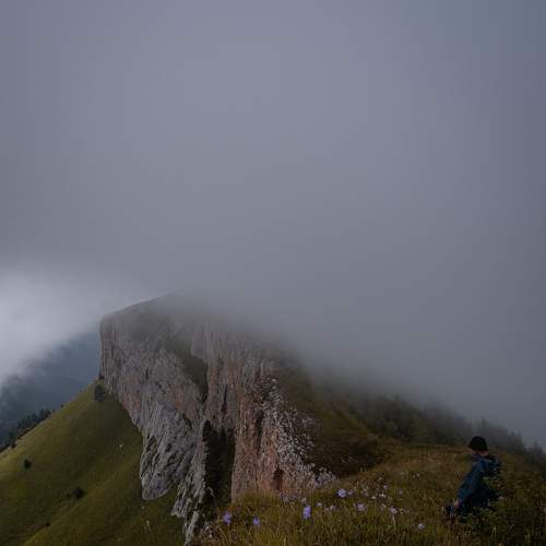 Photo #6812245