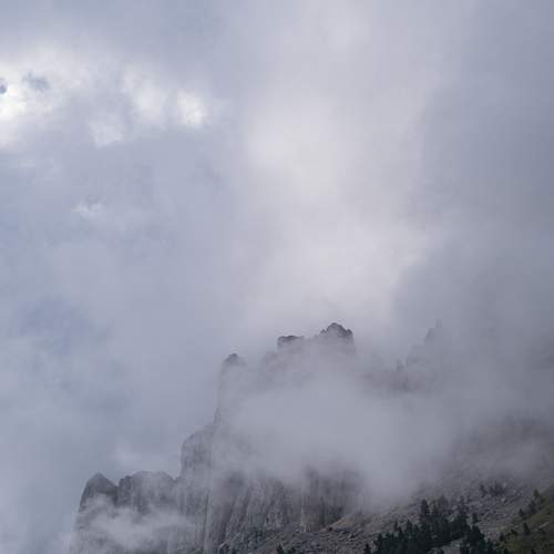 Photo #6812247