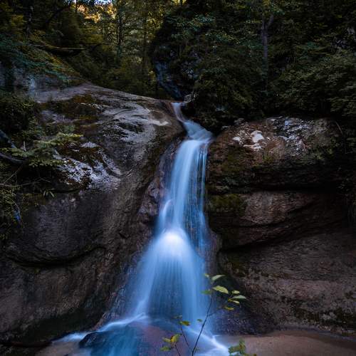 Photo #6812268