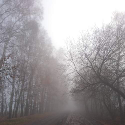 Photo #6812474